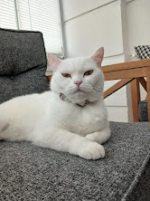 Pirinç